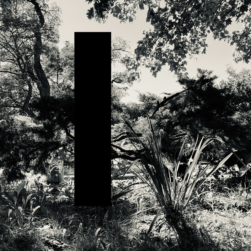 Land — photographie de Mario Alonso