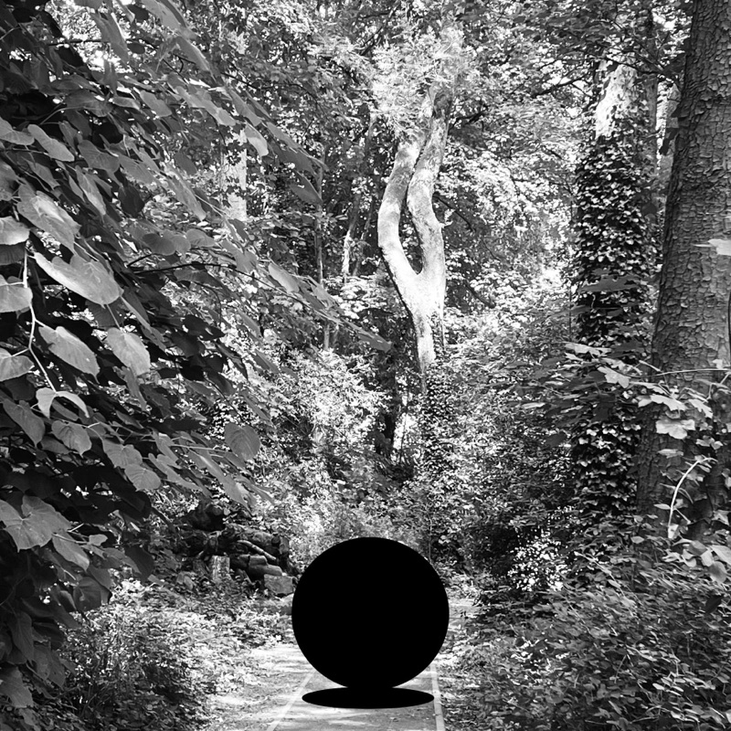 Tree — photographie de Mario Alonso