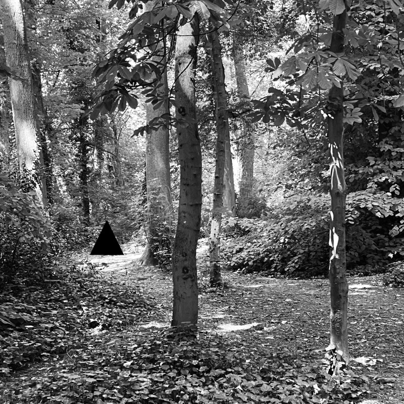 Tree — photographie de Mario Alonso